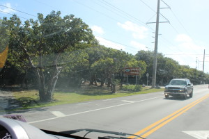 arriving_at_long_key_2973