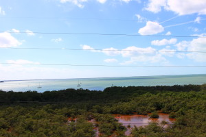 driving_to_florida_keys_2896