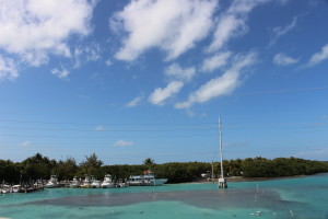 island_water_life_florida_keys_2948